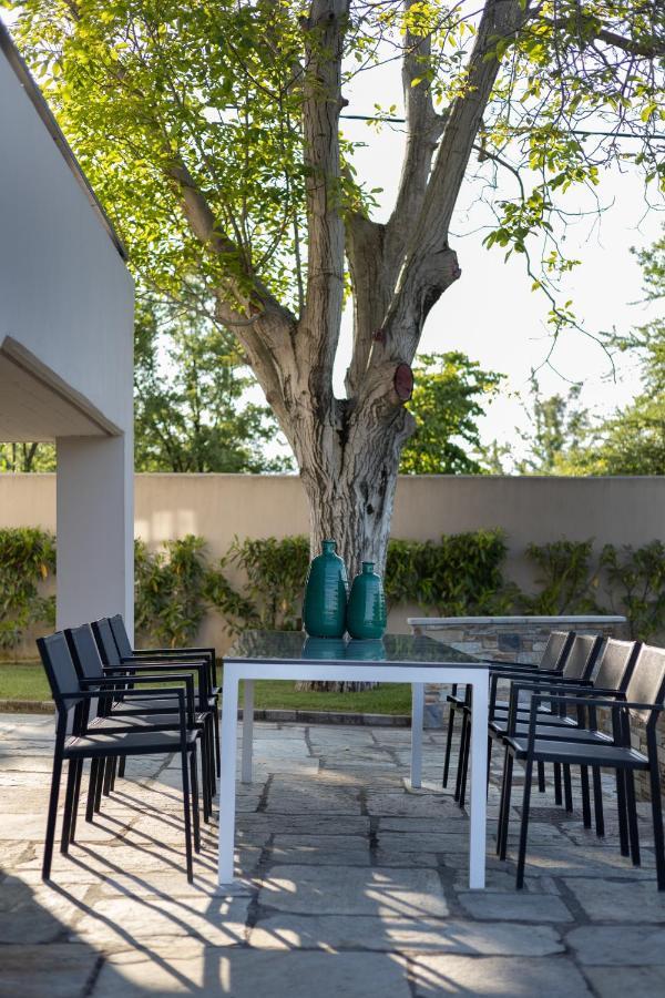 Villa Elisabeth ปลาตาโมนาส ภายนอก รูปภาพ